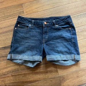 Abs Denim Collection Shorts